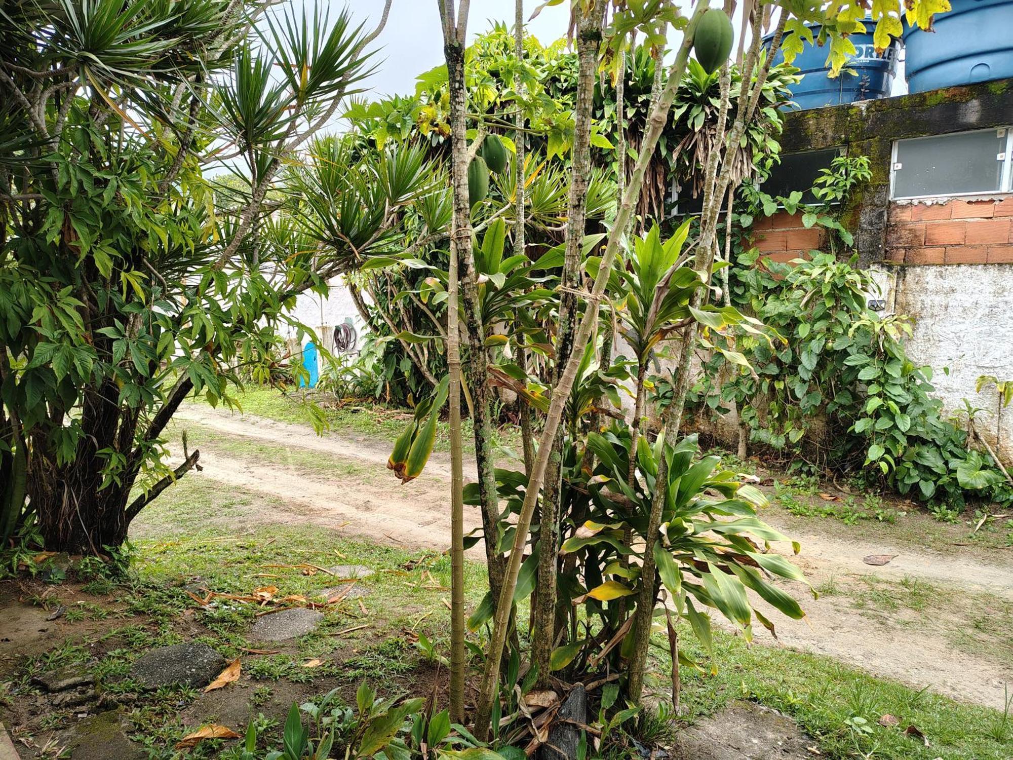 Pousada Lambaris Pereque Guaruja Luaran gambar